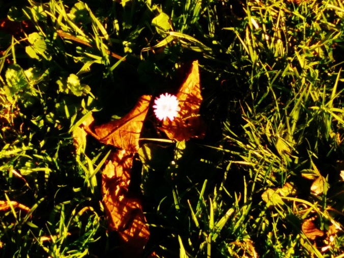 20161217_154059-1024x769