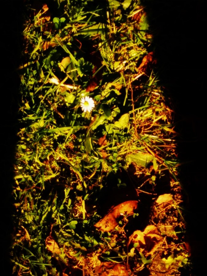 20161217_154149-768x1024