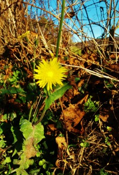 20161227_135848-698x1024