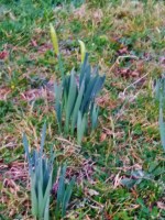 20170215_175815-768x1024