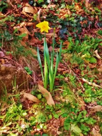 20170216_155210-768x1024